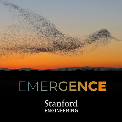 Stanford University Emergence