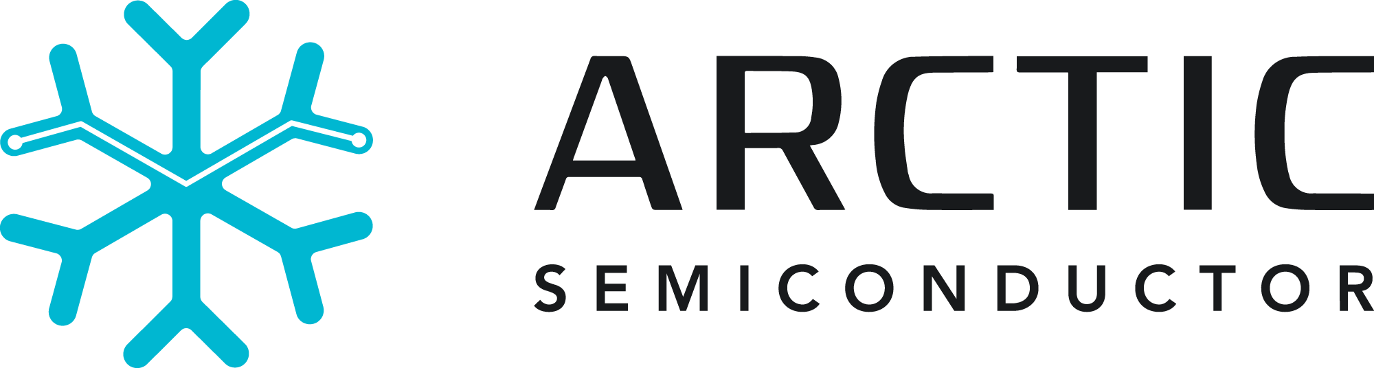 arctic semiconductor logo